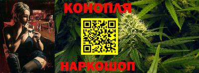 крисы Кимры