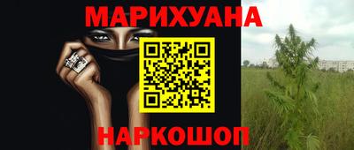 крисы Кимры