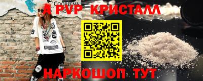 герыч Кингисепп