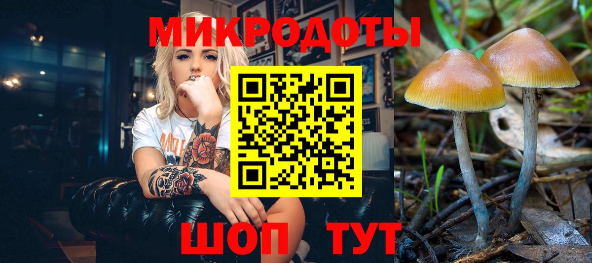 Псилоцибиновые грибы прущие грибы Корсаков